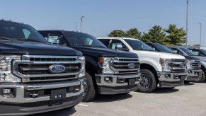 Ford trucks lined up at a dealership